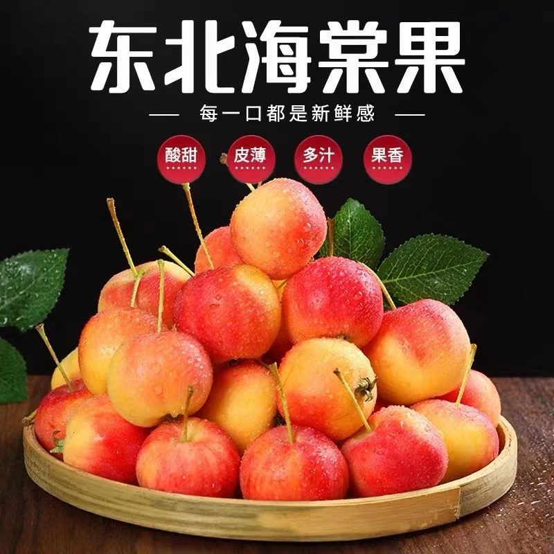 东北沙果5斤包邮