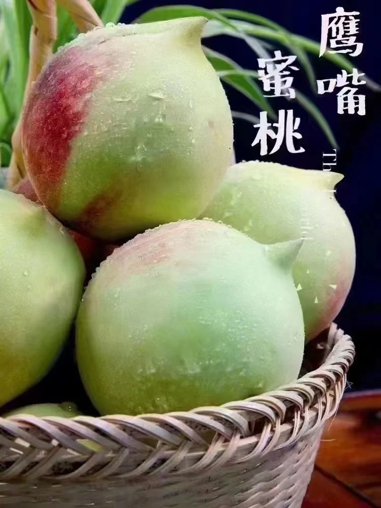 正宗贵州高山鲜嫩爽口清甜饱满香甜清脆鹰嘴水蜜桃新鲜