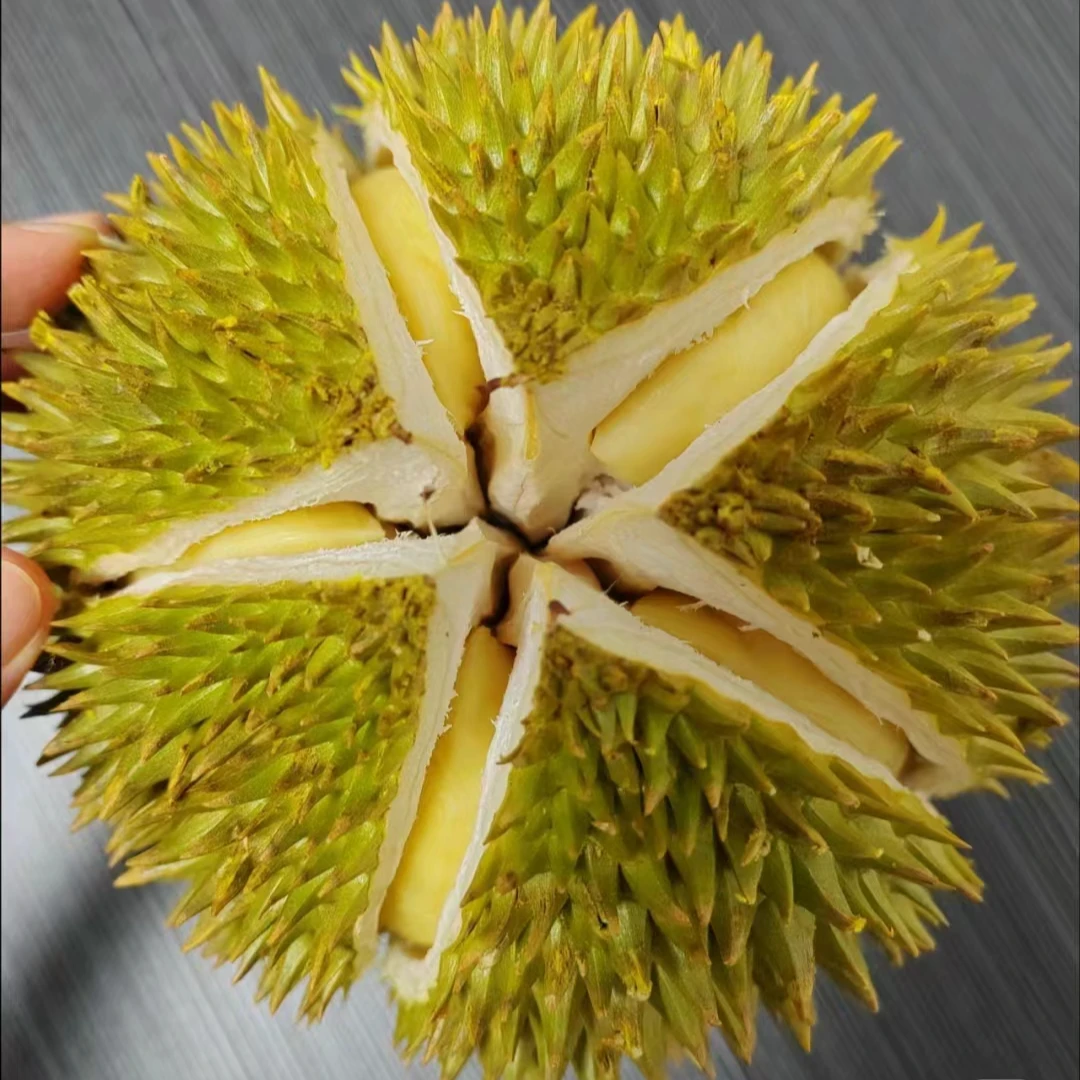 液氮猫山王榴莲5斤左右榴莲同城配