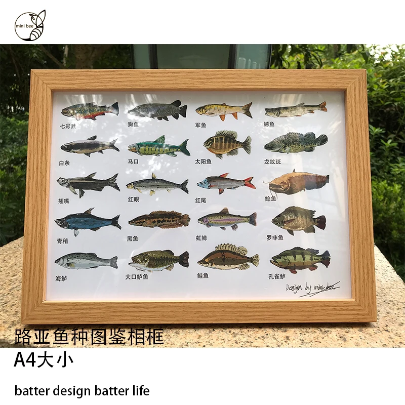 路亚鱼种挂画墙面装饰画渔具店壁画个人路亚鱼种收藏相框路亚钓鱼