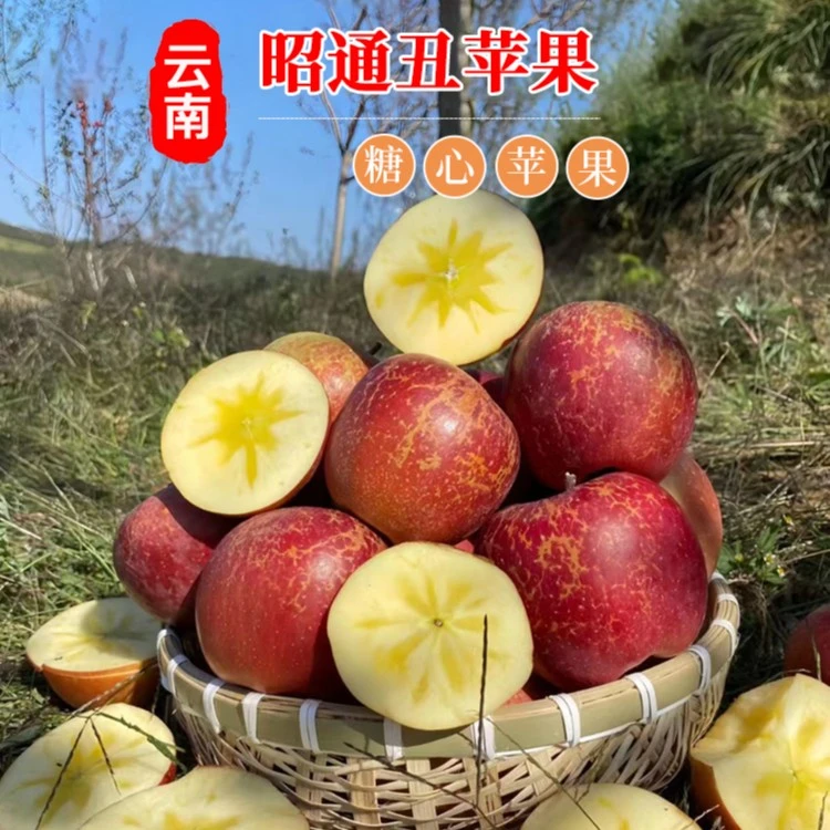 （昭通直发）正宗昭通山区农家原生态苹果糖心丑苹果5斤10斤包邮