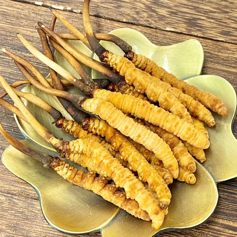 【卓玛专属】50根1.2-1.5克/根2024新鲜冬虫夏草正品保证