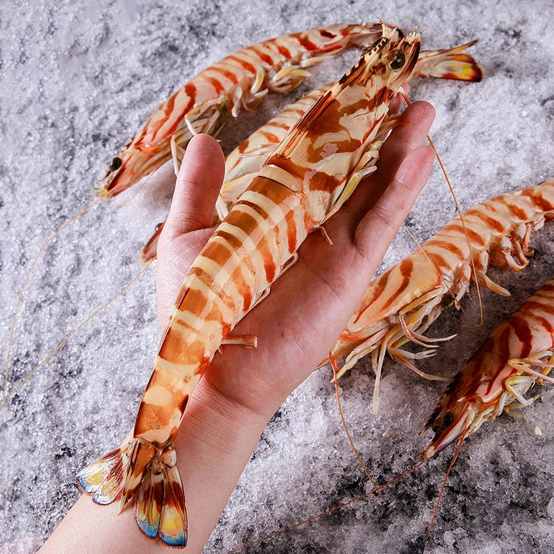 300g/盒 福建东山岛深海海捕大斑节虾速冻发货大海虾九节虾竹节虾