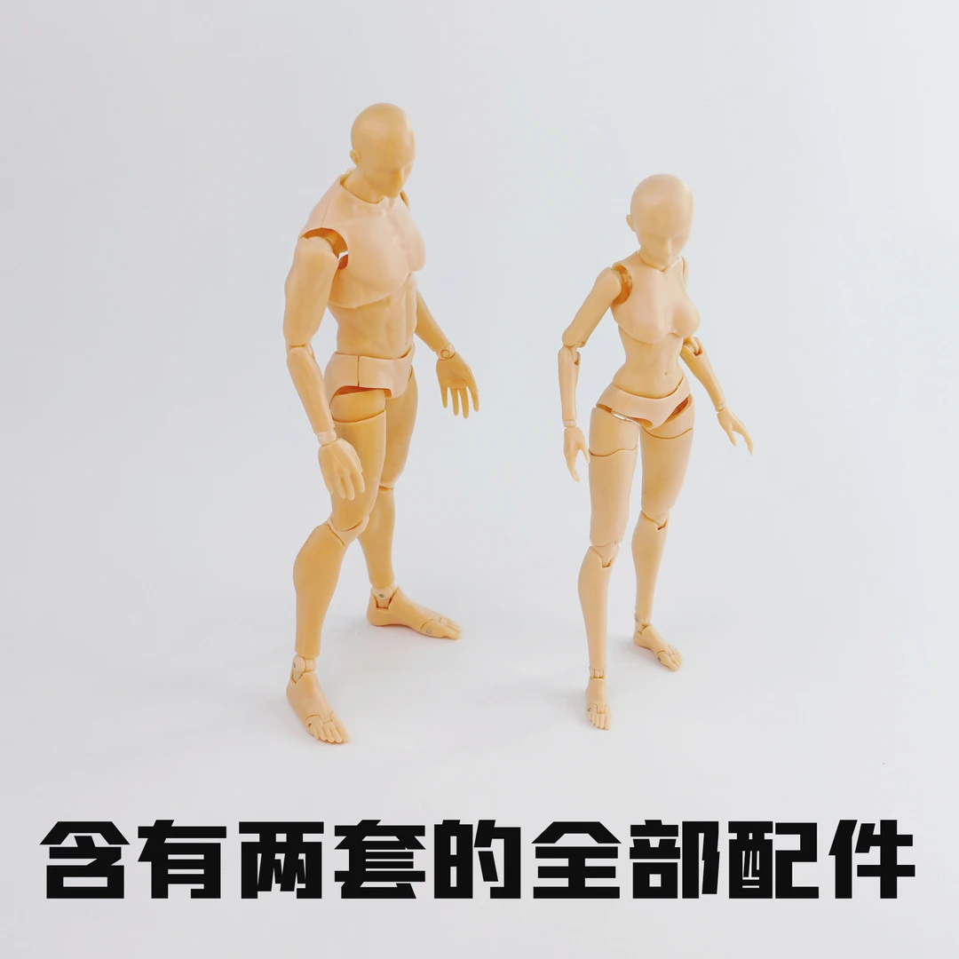 速写默写神助攻可360°转动    人偶模型男女款一套  肤色