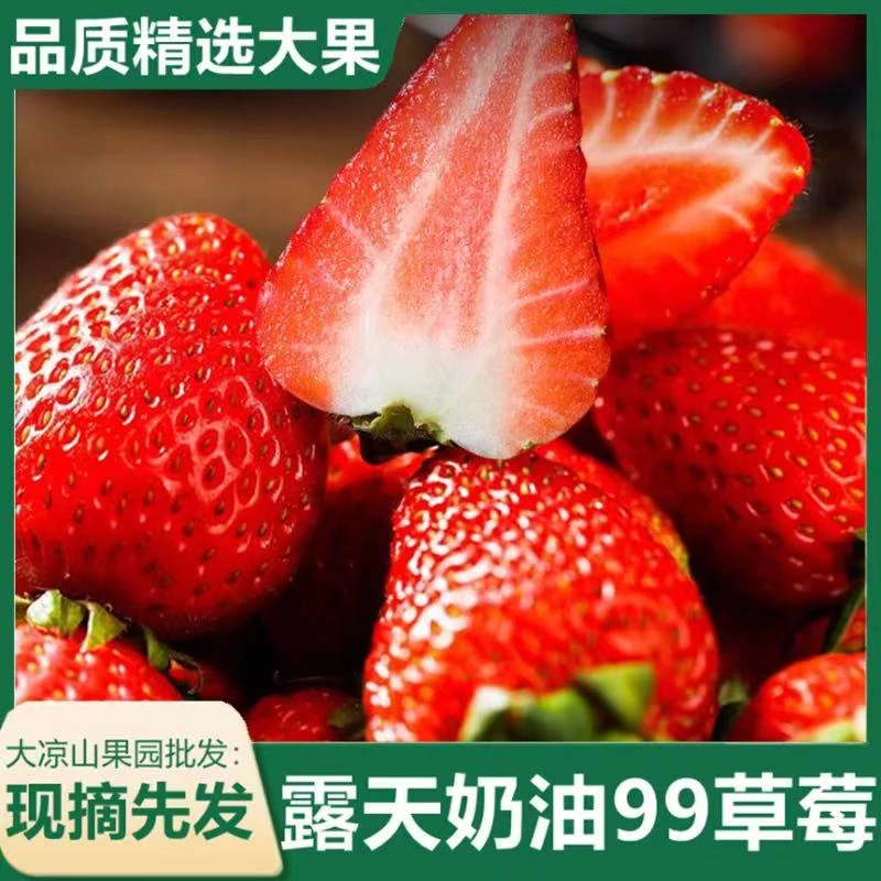 【顺丰陆运】草莓大凉山奶油草莓新鲜孕妇水果露天草莓现摘当季水果