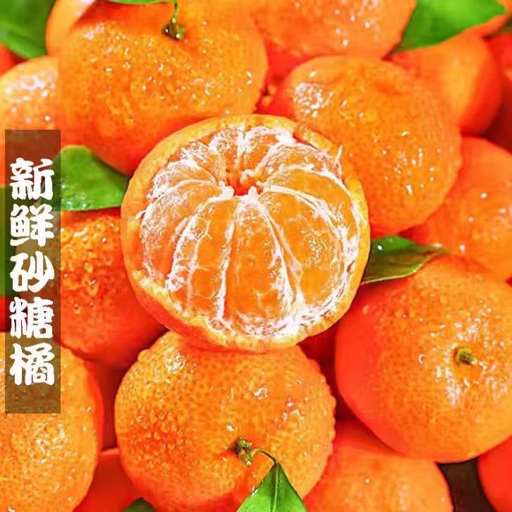 【达吾水果】沙糖桔1箱7斤（骑手配送到家）