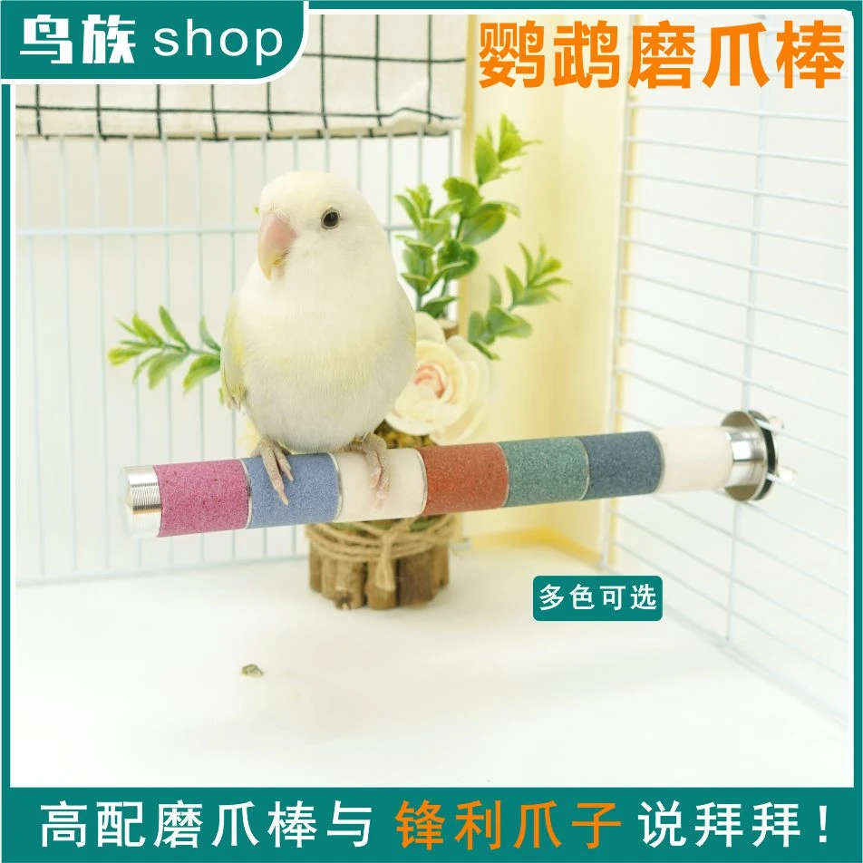 鸟族6代不锈钢磨砂鹦鹉磨爪棒鸟笼站棍站杆磨嘴鹦鹉玩具啃咬用品