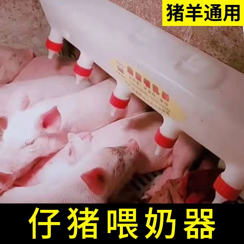 小猪喂奶器仔猪奶妈机羔羊专用奶嘴猪仔奶瓶喂猪奶神器小羊吃奶器