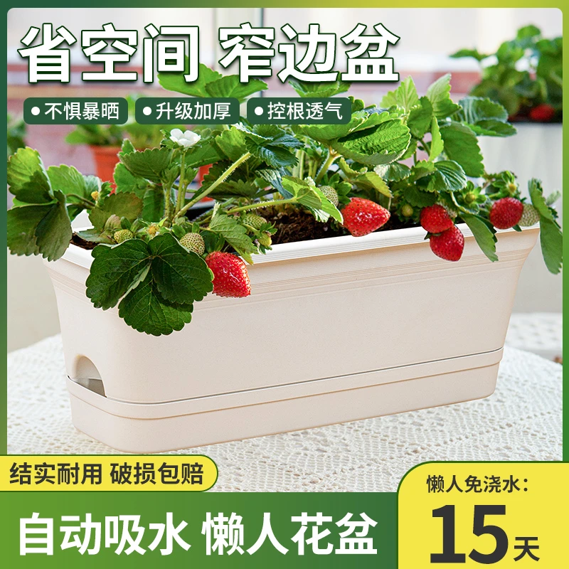 草莓盆栽种植盆阳台长条种菜盆懒人自吸水花盆
