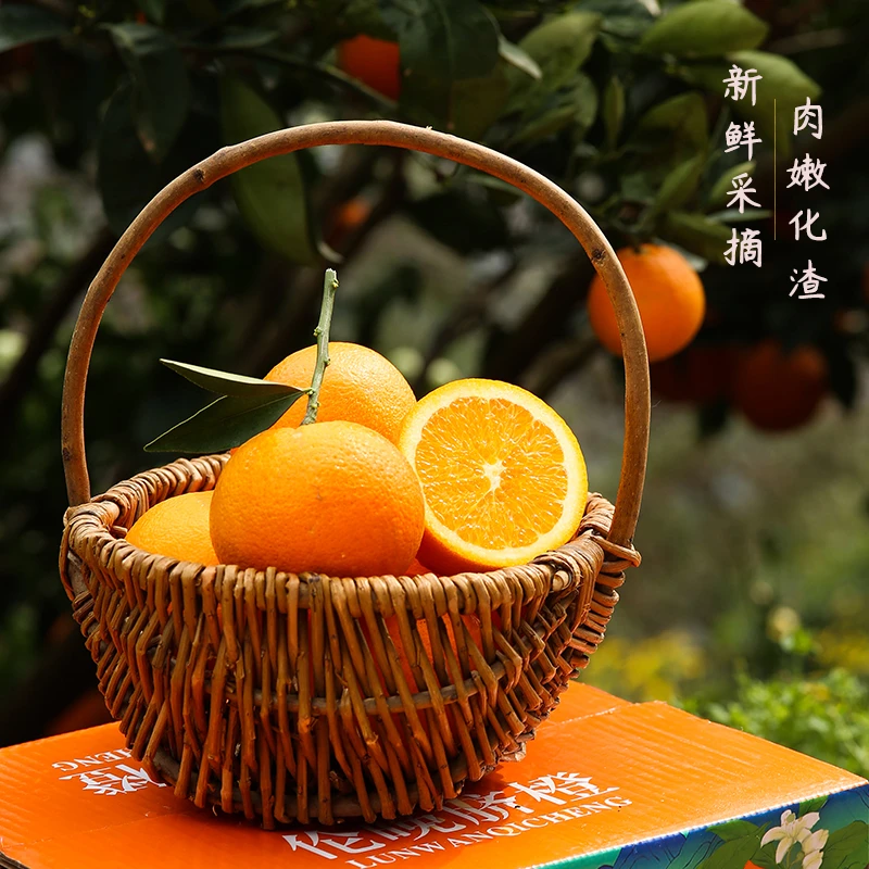 湖北秭归伦晚脐橙新鲜采摘酸甜多汁适口开胃橙子当季新鲜整箱