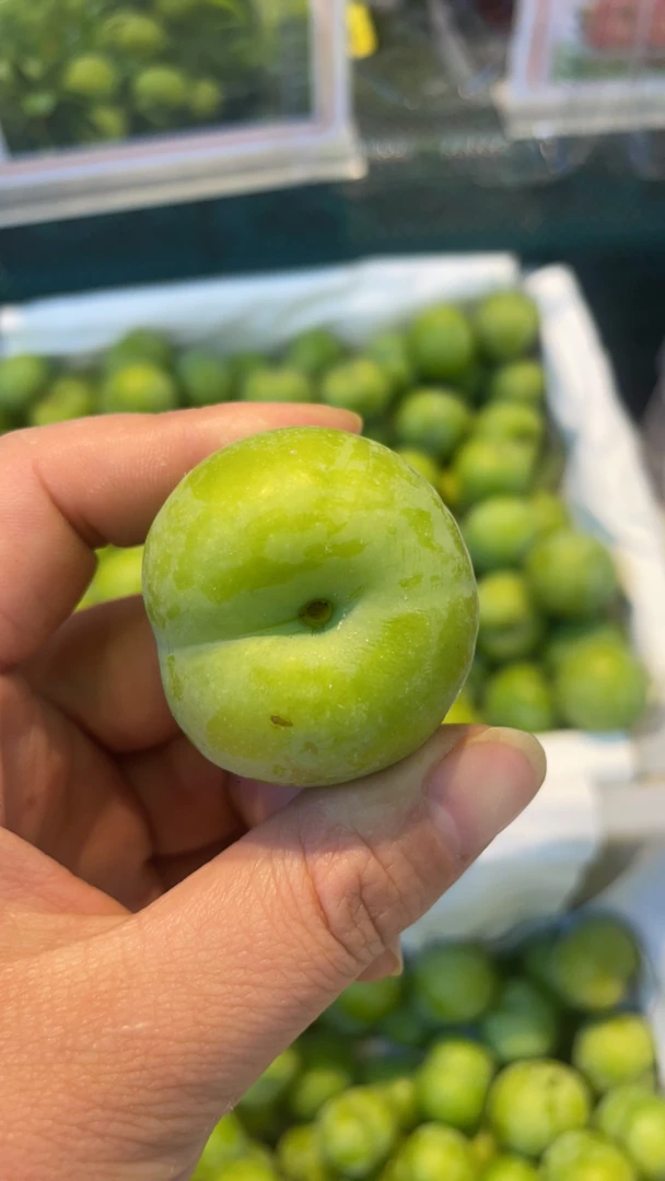 特级青脆李500g