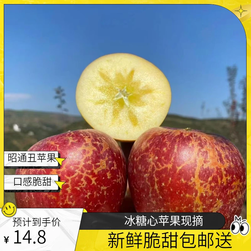 昭通丑苹果 2024冰糖心丑苹果冰糖心红富士新鲜采摘现采现发包邮