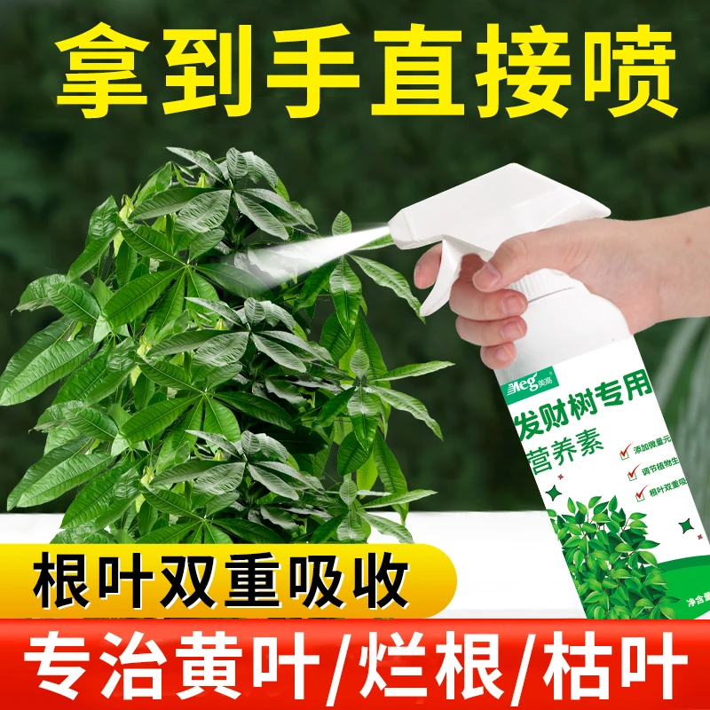 发财树专用营养液花肥料植物活力素通用型金钱树绿萝盆栽室内家用
