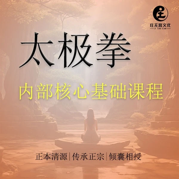 太极拳内部核心基础直播课