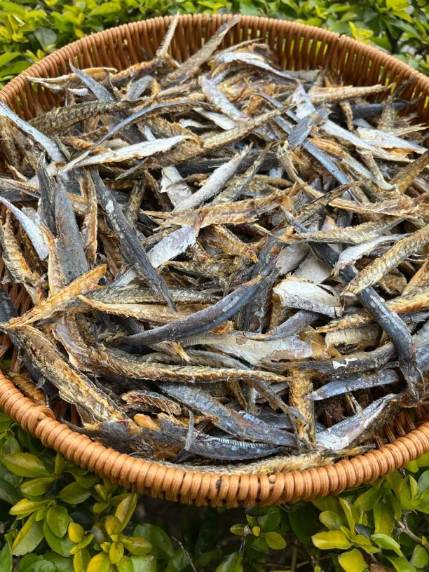 福建特产去骨去头尾巴浪肉500g鱼干熟鱼干小海鱼