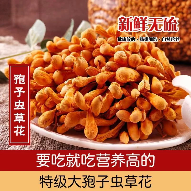 【小阿姨推荐】福建特产野生金虫草