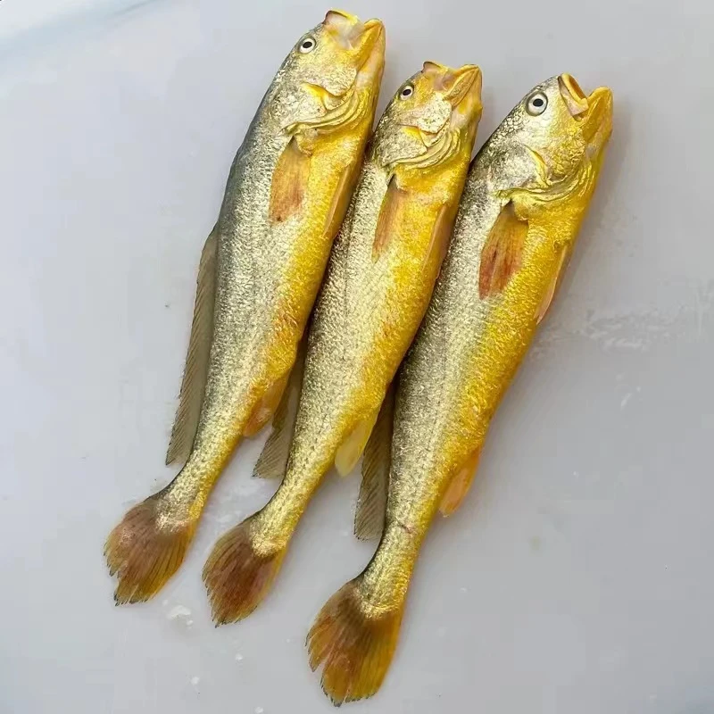 大连渤海湾野生黄花鱼 小黄花 原浆黄花鱼 7-12条 顺丰包邮