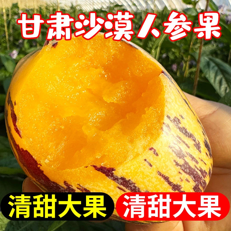 【黄肉熟果】产地发甘肃民勤沙漠人参果当季低糖鲜果黄肉十个勤天