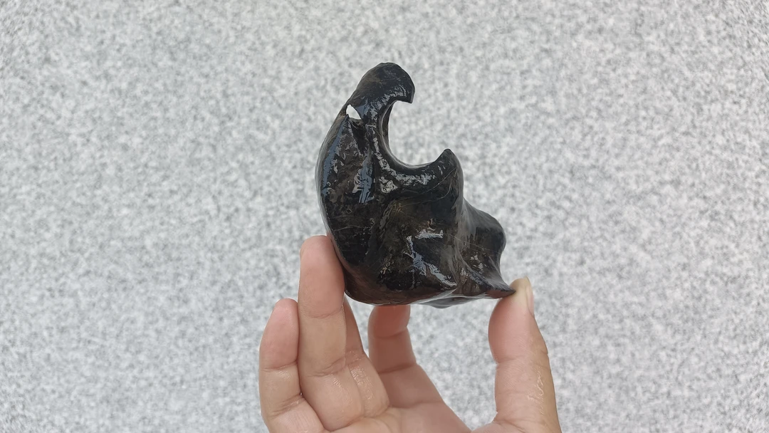 墨太湖石盆景附树石