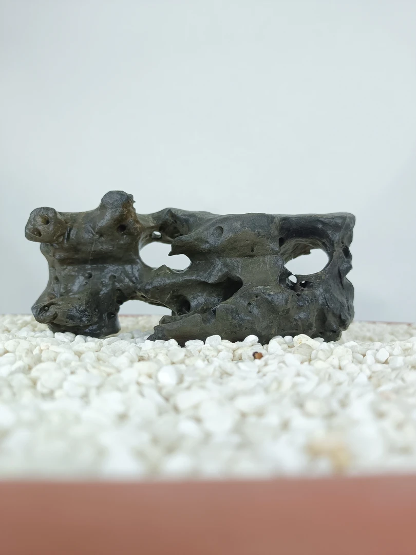 墨太湖石盆景附树石