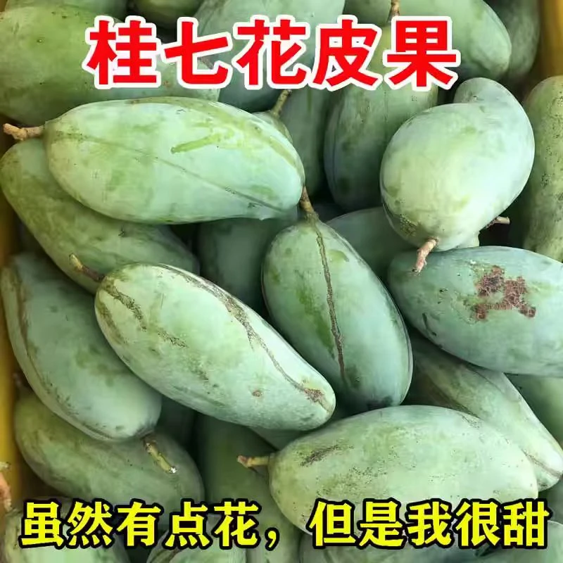 广西百色桂七芒老树花皮芒果现摘现发当季新鲜水果香甜大芒果整箱