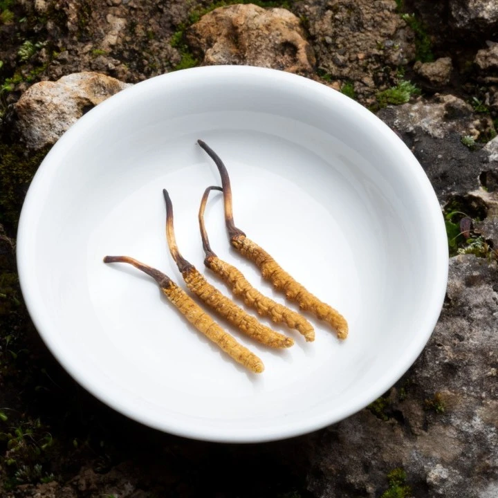 2025年头茬西藏正宗那曲冬虫夏草精品干虫草礼盒装顺丰包邮