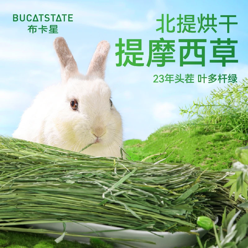 布卡星兔子饲料提摩西草24年兔草新鲜食用粮草烘烤牧草荷兰猪粮食