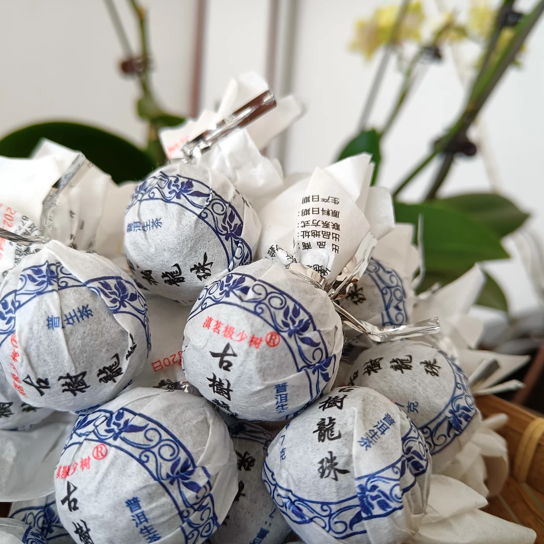 古树龙珠2023年春30颗