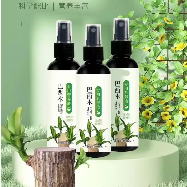 巴西木专用营养液绿叶促芽促根