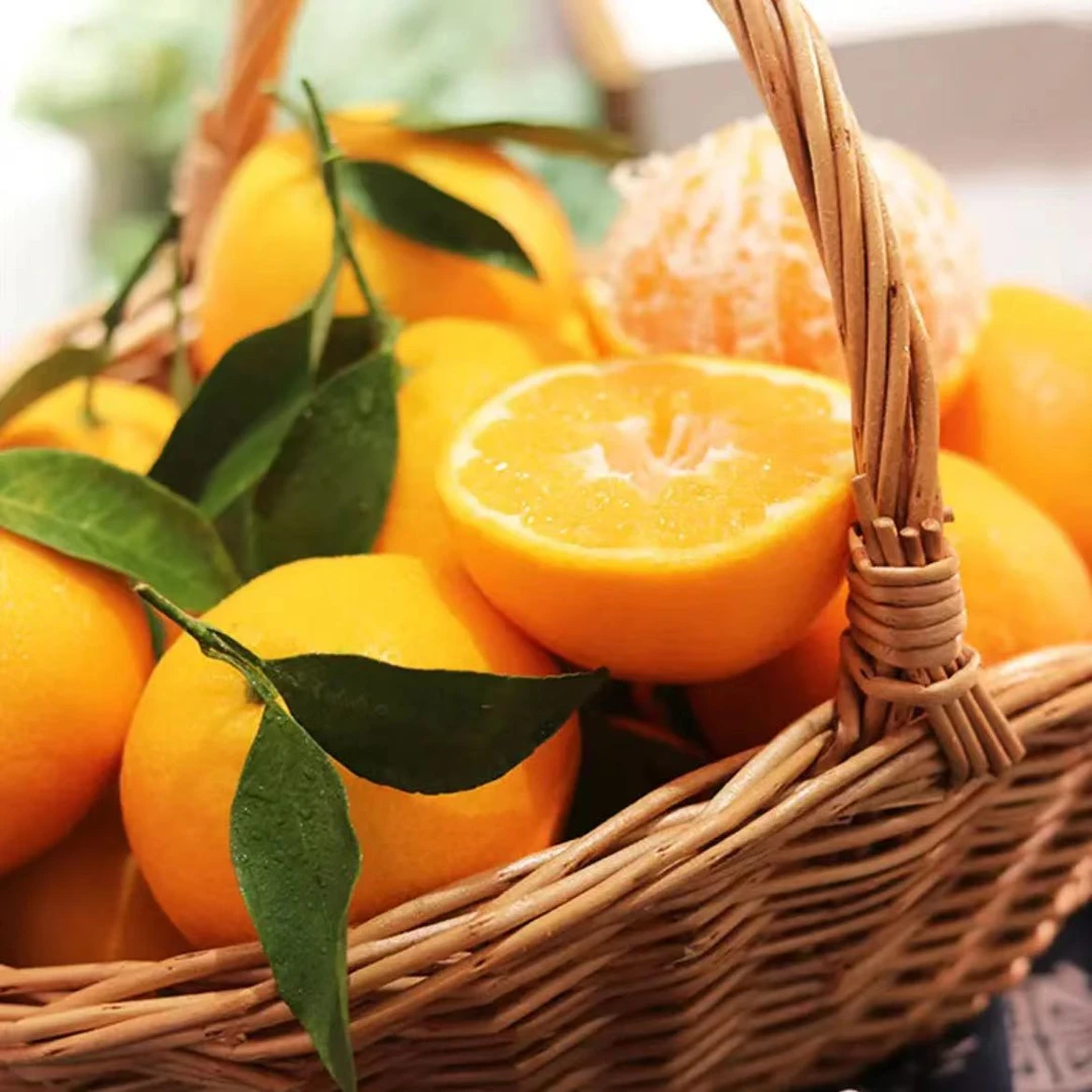 【超哥优选】哀牢山沃柑纯甜无酸当季鲜果现摘现发柑橘-5斤