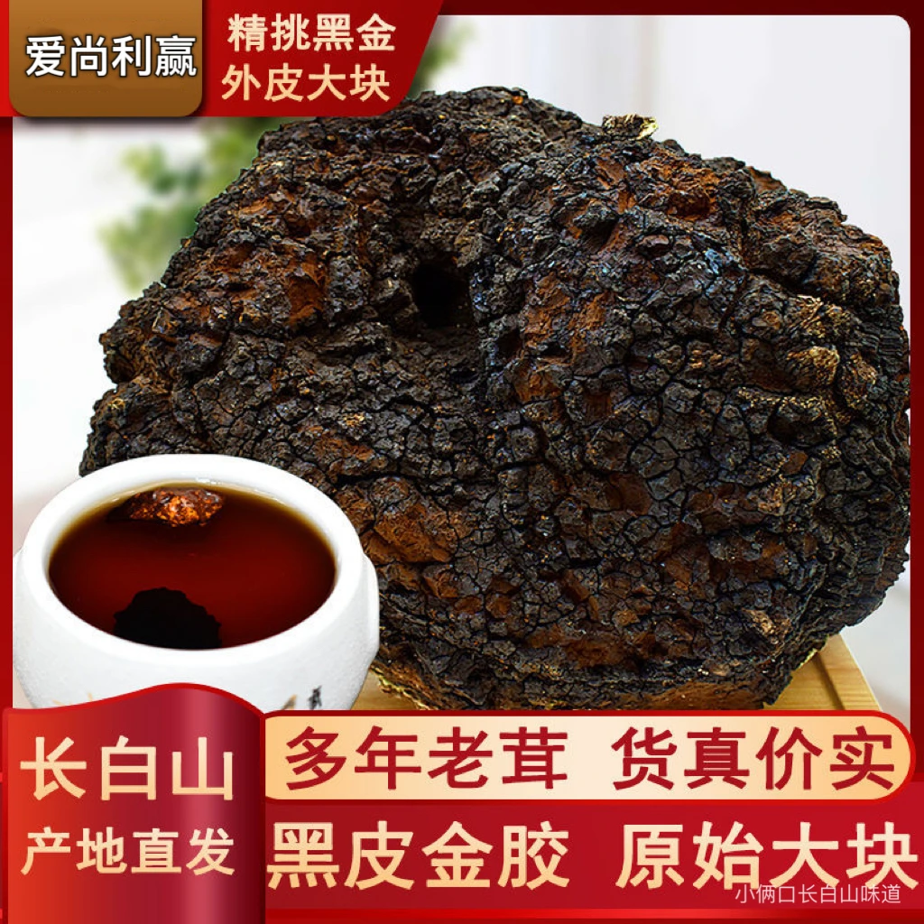 长白山桦树茸白桦茸500g整个大块桦褐孔菌