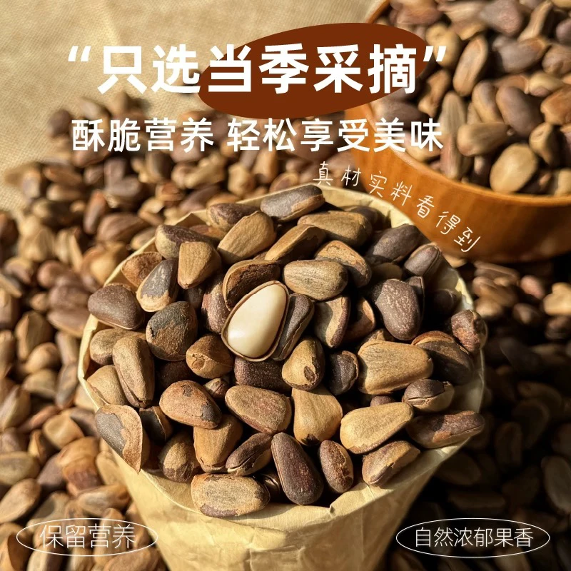 长白山红松松子大颗粒 新货大颗粒 笨炒松子开小口