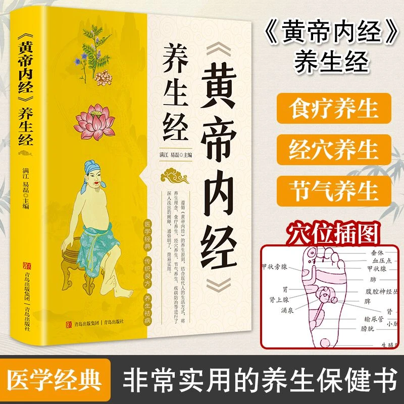 黄帝内经养生经中医养生书籍大全基础理论健康养生类皇帝内经阅读