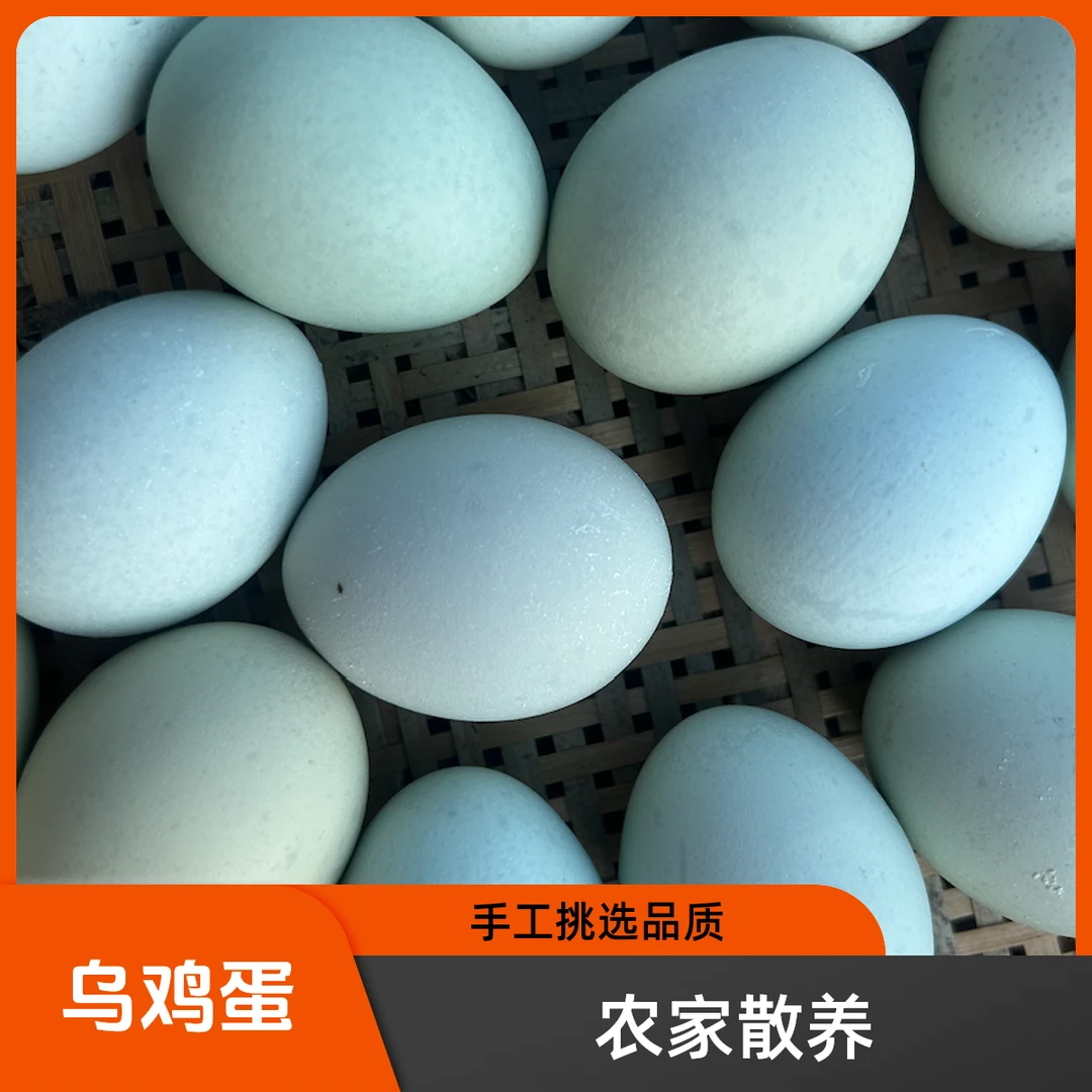 乌鸡蛋（60枚）一箱新鲜农家散养