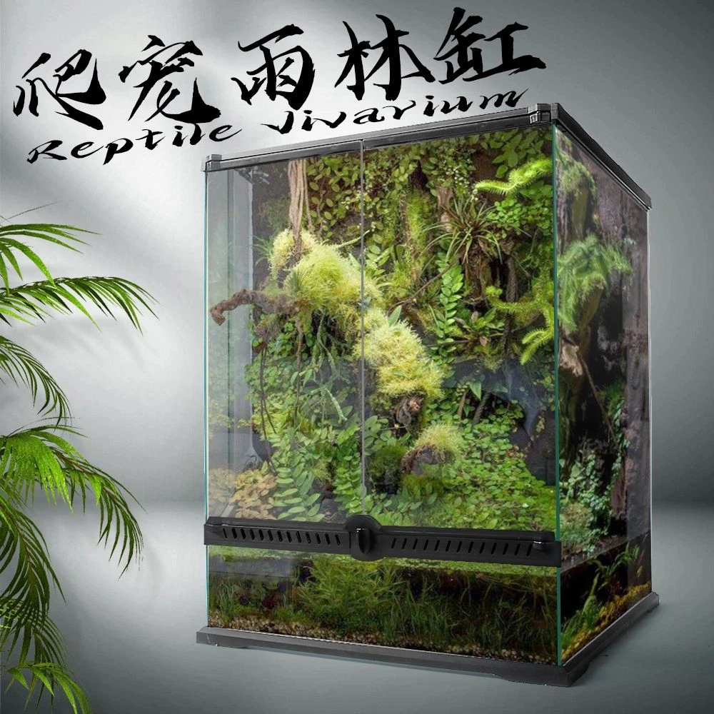 nomoypet双开门雨林缸爬缸爬宠玻璃缸成品饲养箱高清水陆缸爬虫缸