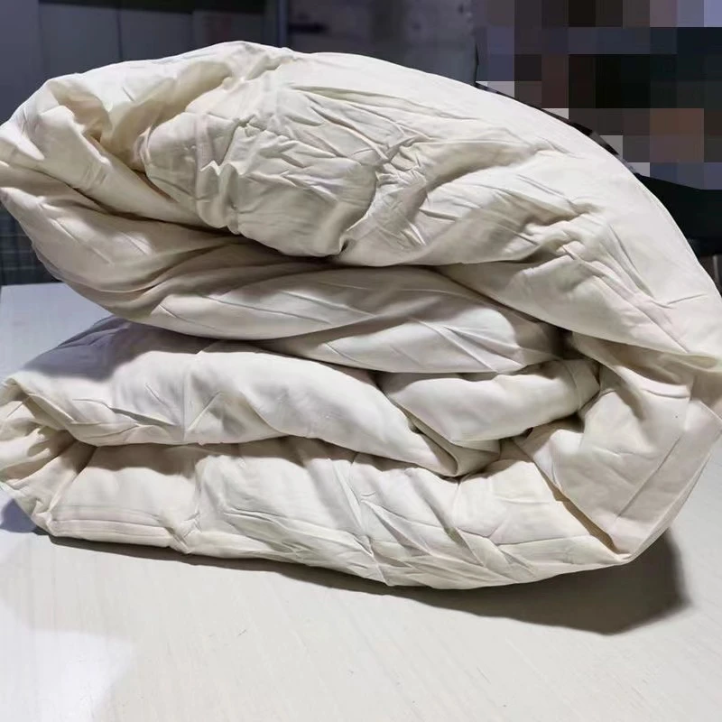 招待卫生棉被  棉花被子 柔软加厚双胆被子 10斤   210*150