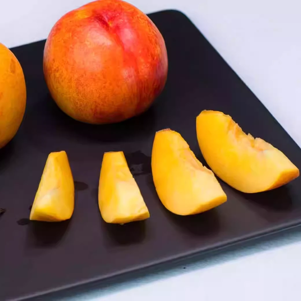 果切恐龙李 100g