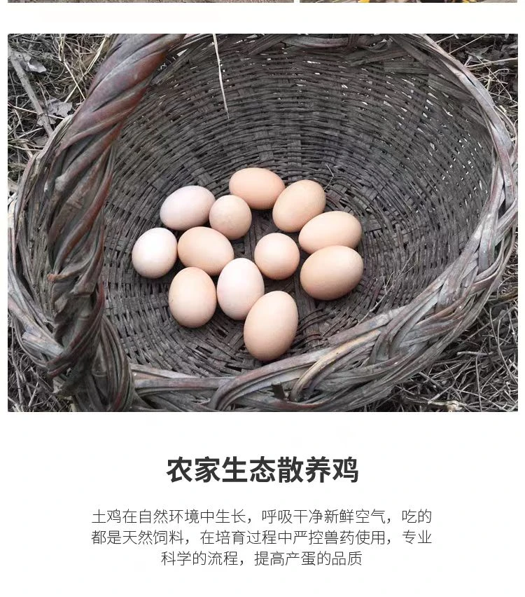 土鸡蛋柴鸡蛋枚农家山林散养五谷杂粮虫草笨鸡蛋新鲜