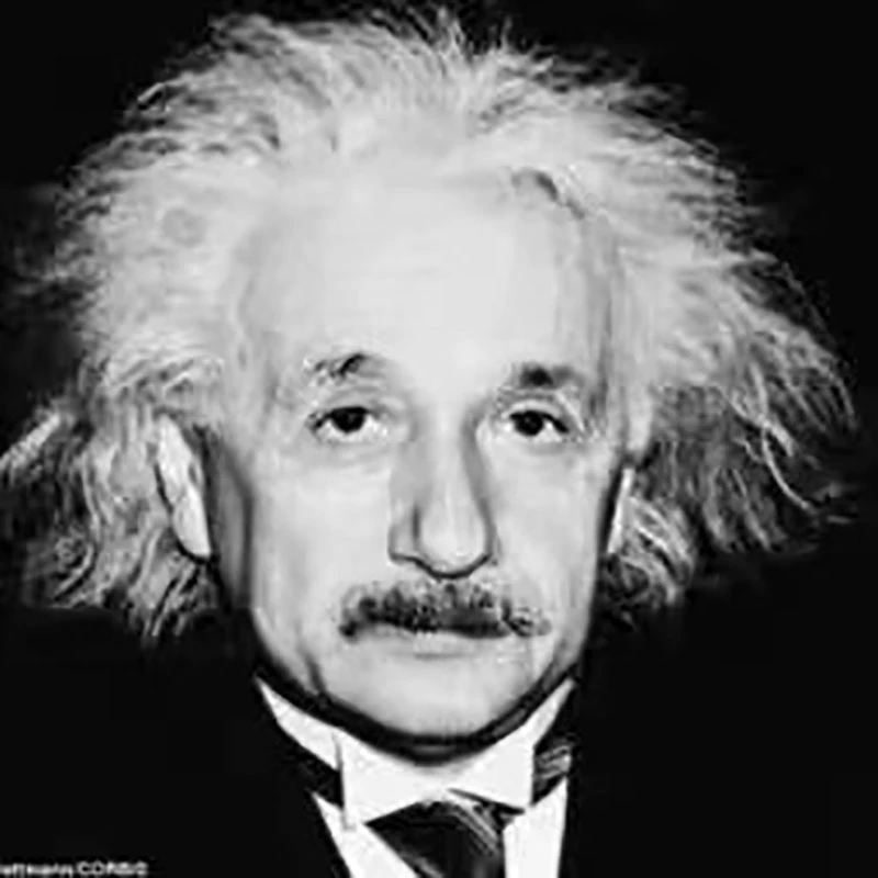 爱因斯坦的脑子加强版，拍下后自动长到大脑上。送朋友小众生日礼物