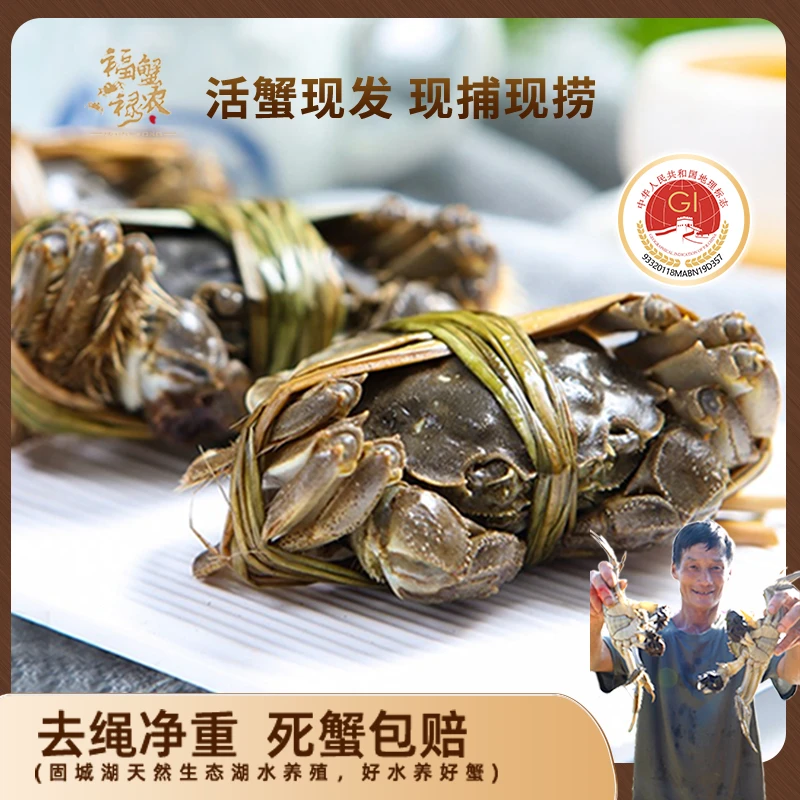 【活蟹现发】2.9-3.1两母蟹4+2只 地理标志保护蟹
