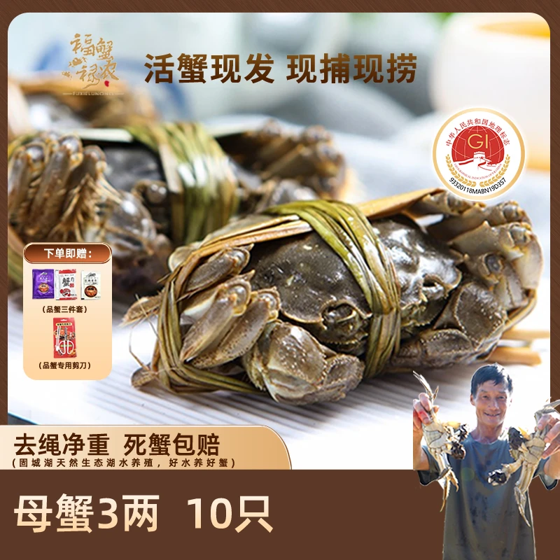 【活蟹现发】2.9-3.1两(母)10只河蟹膏黄肥美礼盒装