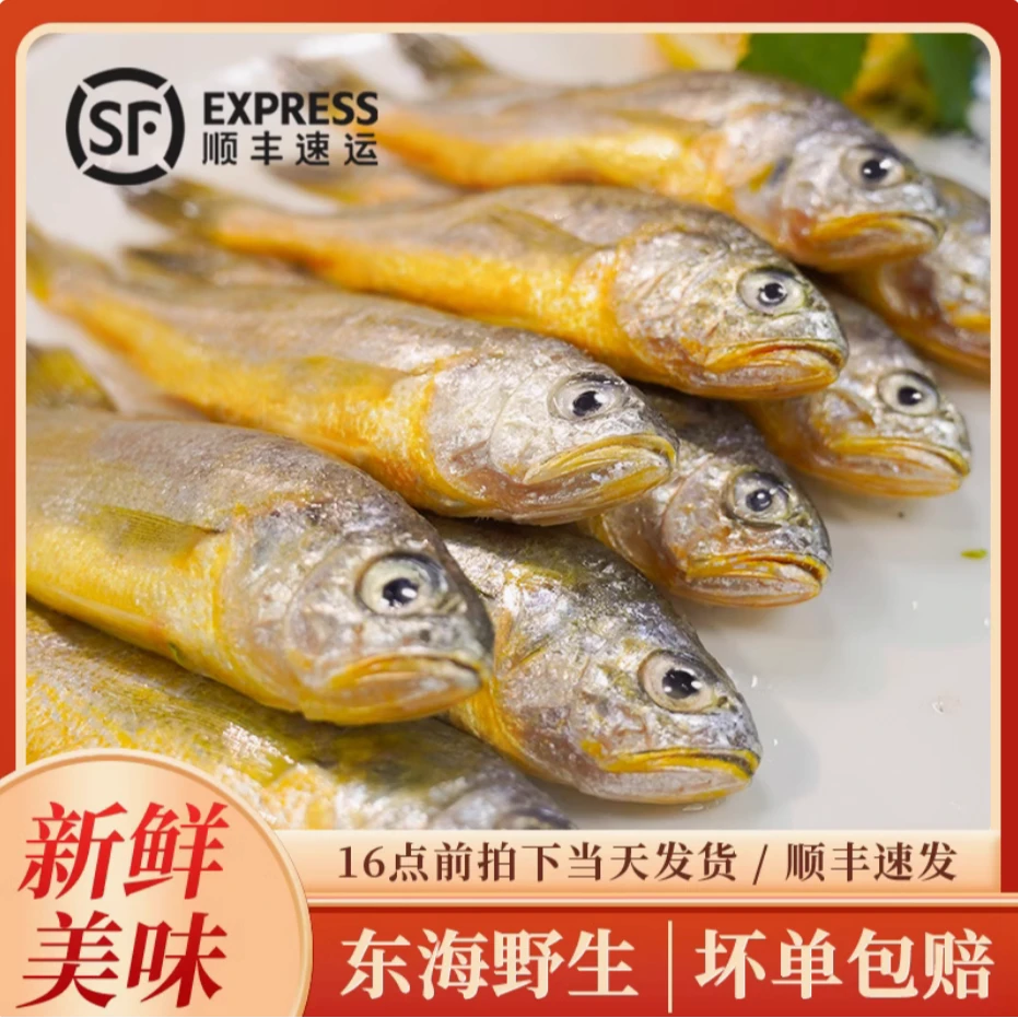 【到手3斤·去头】真正舟山小黄鱼新鲜鲜嫩新美小黄花鱼海捕冷冻