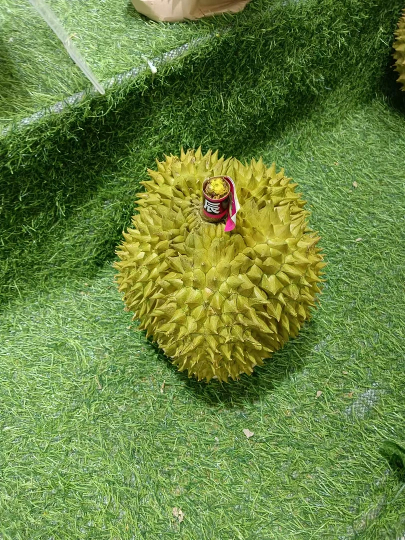 泰国金枕榴莲