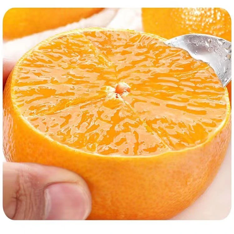 诚谊农业爱媛38果冻橙皮薄化渣无核爆汁