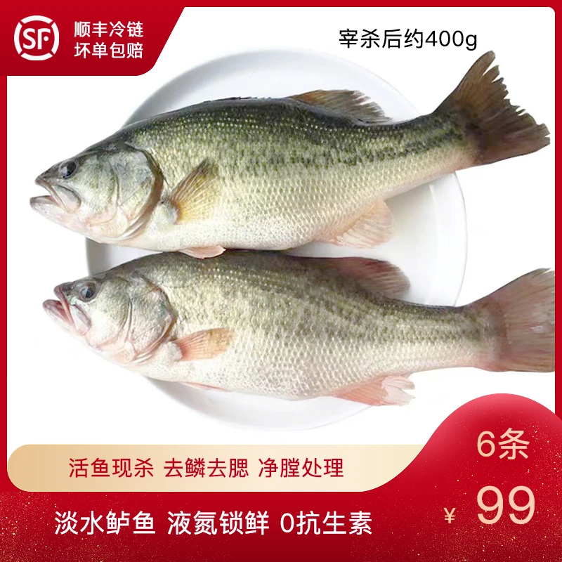 淡水鲈鱼活鱼鲜制 6条 去鳞去内脏 顺丰包邮 0防腐剂