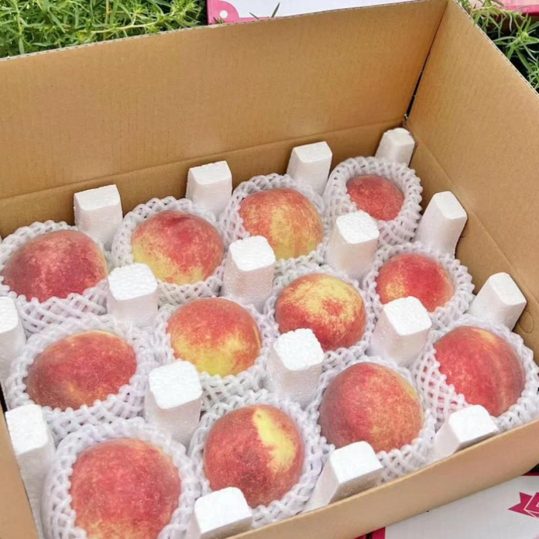 【蒙阴蜜桃】新鲜世纪红桃金秋红蜜红毛桃脆甜多汁蜜桃正宗果园直发