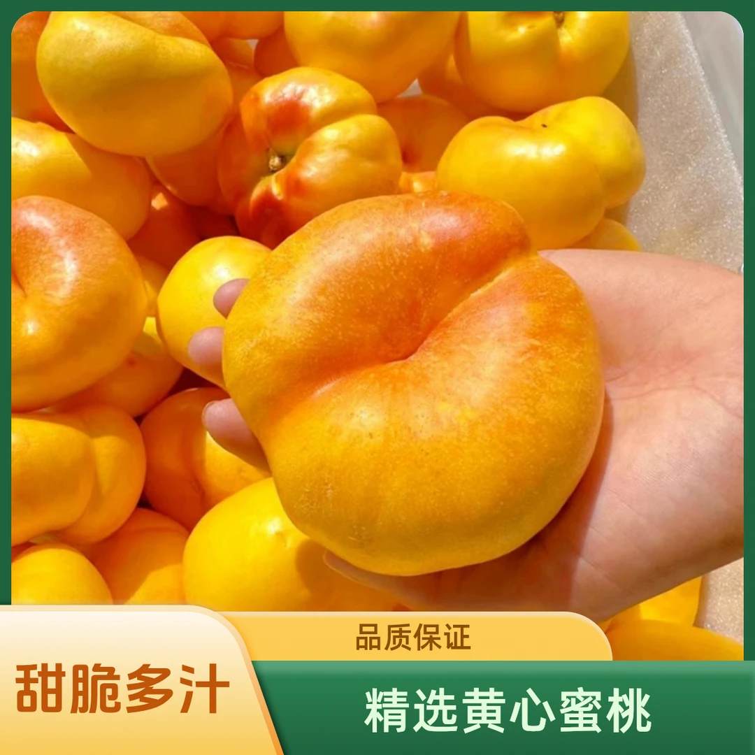 【彩虹蟠桃】正宗蒙阴彩虹油蟠桃产地直发新鲜爆甜多汁甜桃黄桃油桃