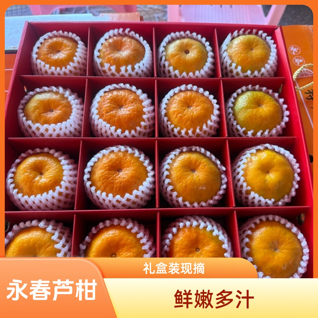 正宗永春芦柑福建原产皮薄汁多果肉饱满精品果礼盒16粒装产地直发