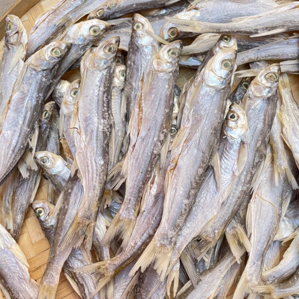白条鱼干小鱼干干货餐条鱼500克