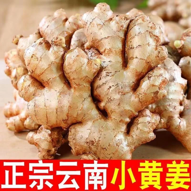 【辛辣浓郁】云南本地小黄姜现挖生姜老姜山地姜0.5--9斤食用坏包赔